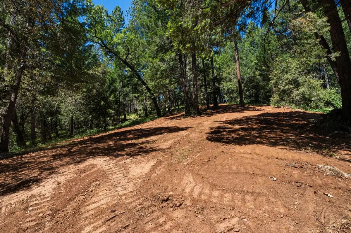 3801 Glory Hole Court, Camino, CA 95709 - #1