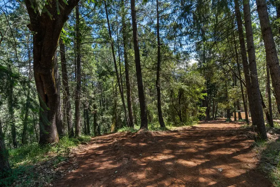 3801 Glory Hole Court, Camino, CA 95709 - #3