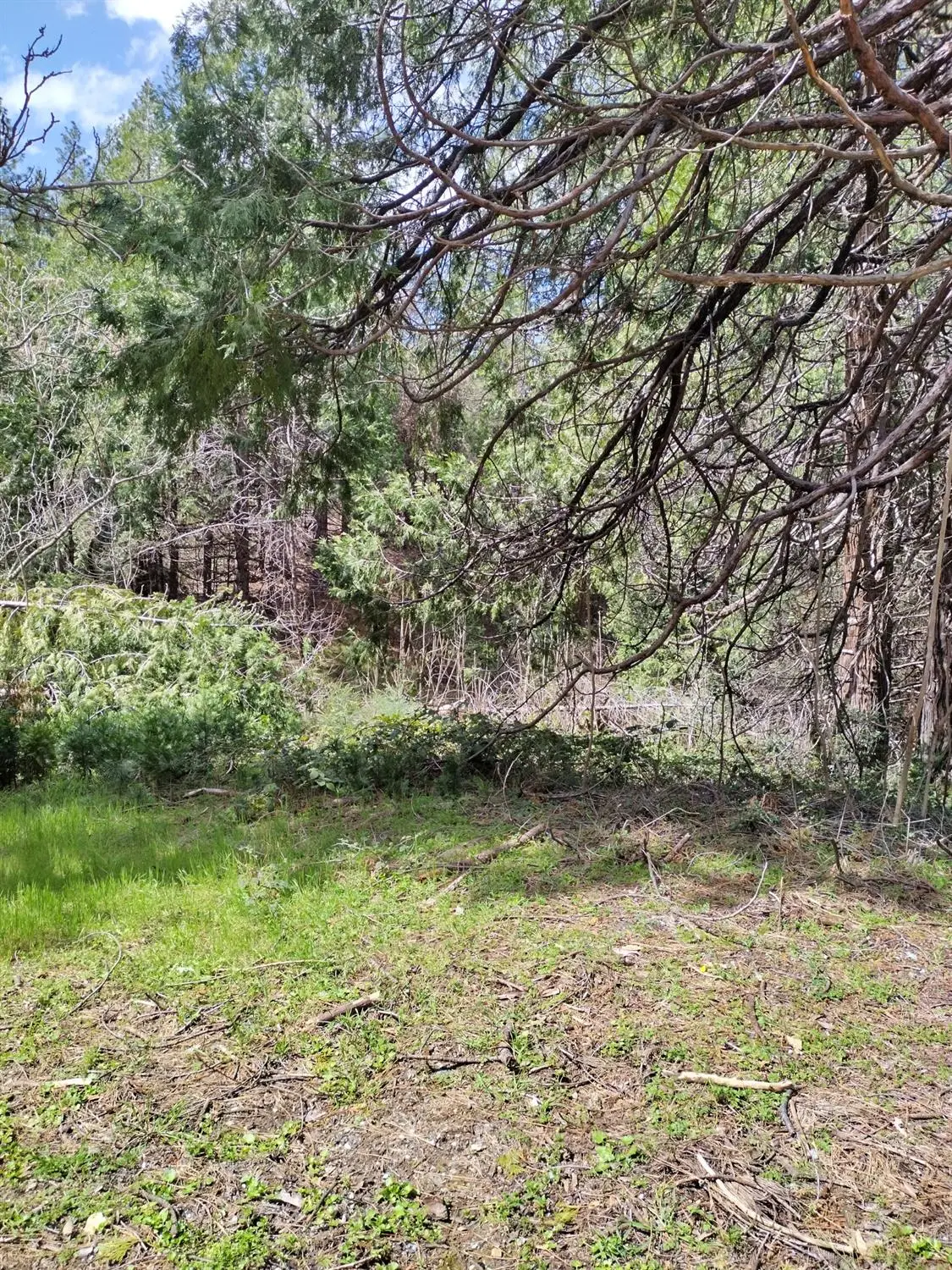 6141 State Highway 193, Georgetown, CA 95634 - #1