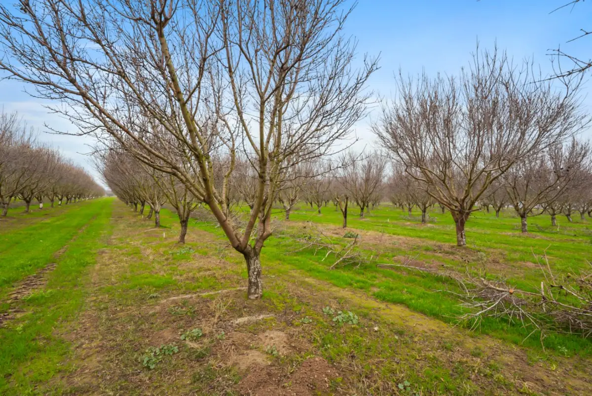16221 Carrolton, Escalon, CA 95320 - #1