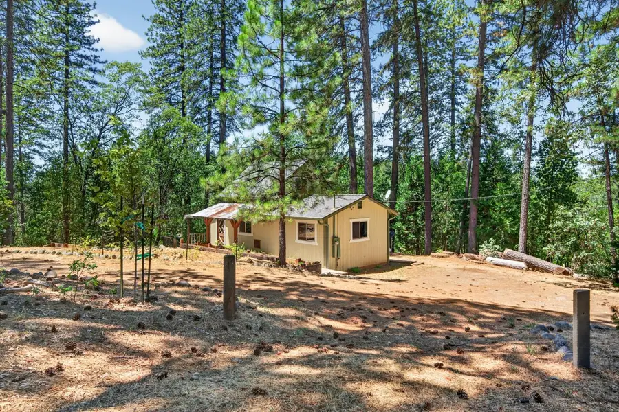 10121 Newtown Road, Nevada City, CA 95959 - #3