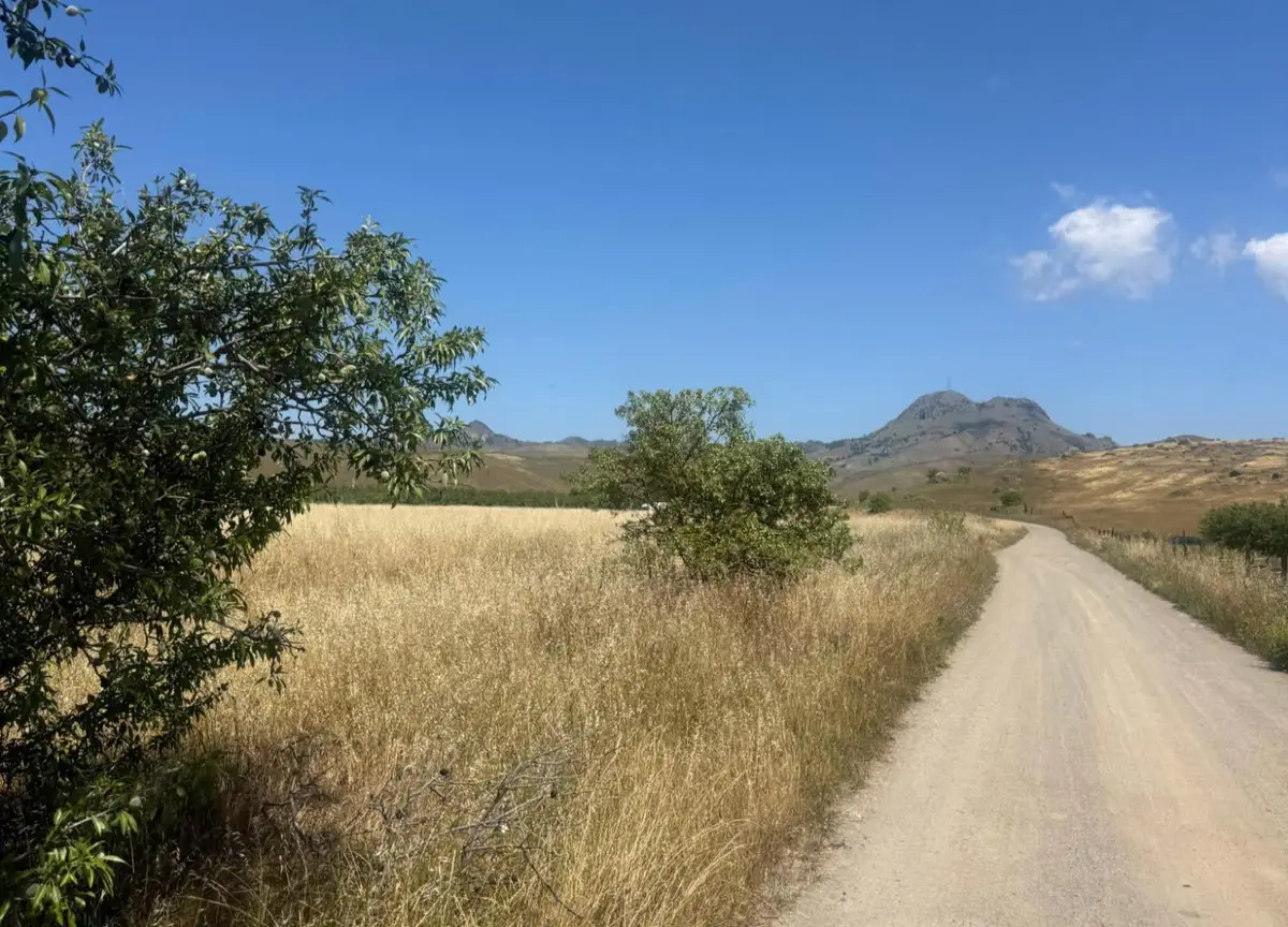 11311 S Butte Road, Sutter, CA 95982 - #1