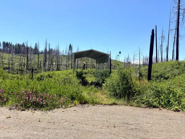 5110 Evergreen Drive, Grizzly Flats, CA 95636