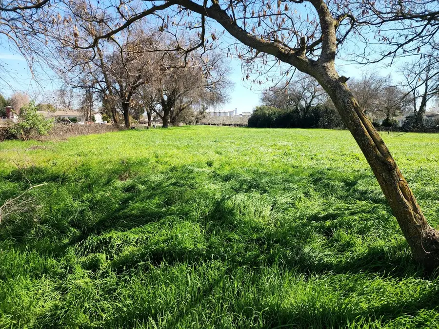 1771 Lurline Avenue, Colusa, CA 95932 - #2