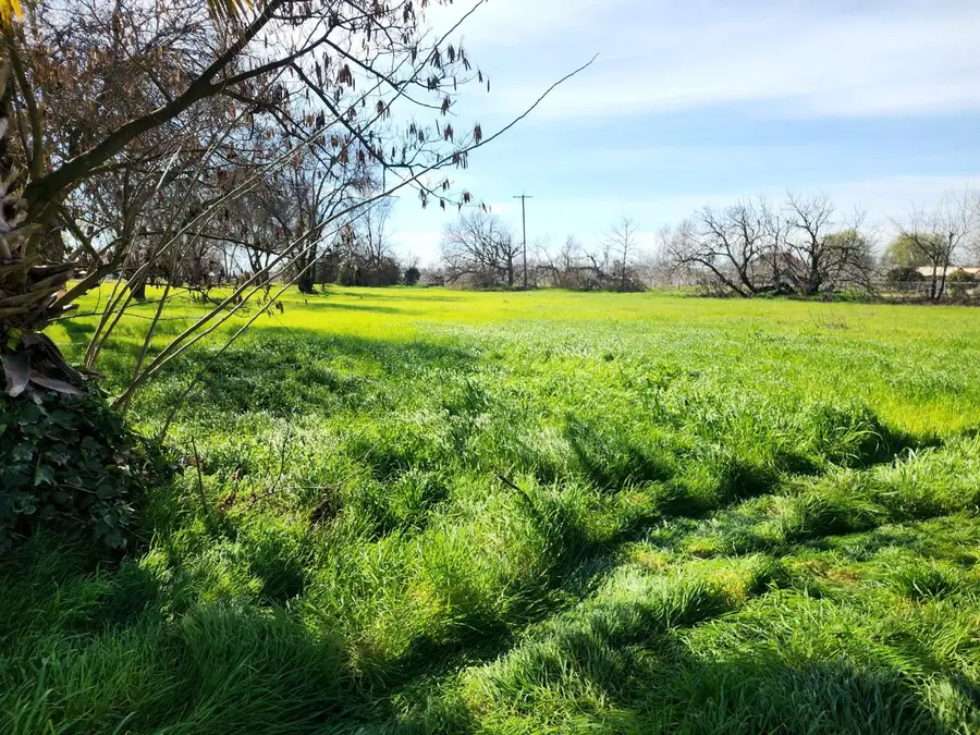 1771 Lurline Avenue, Colusa, CA 95932 - #3