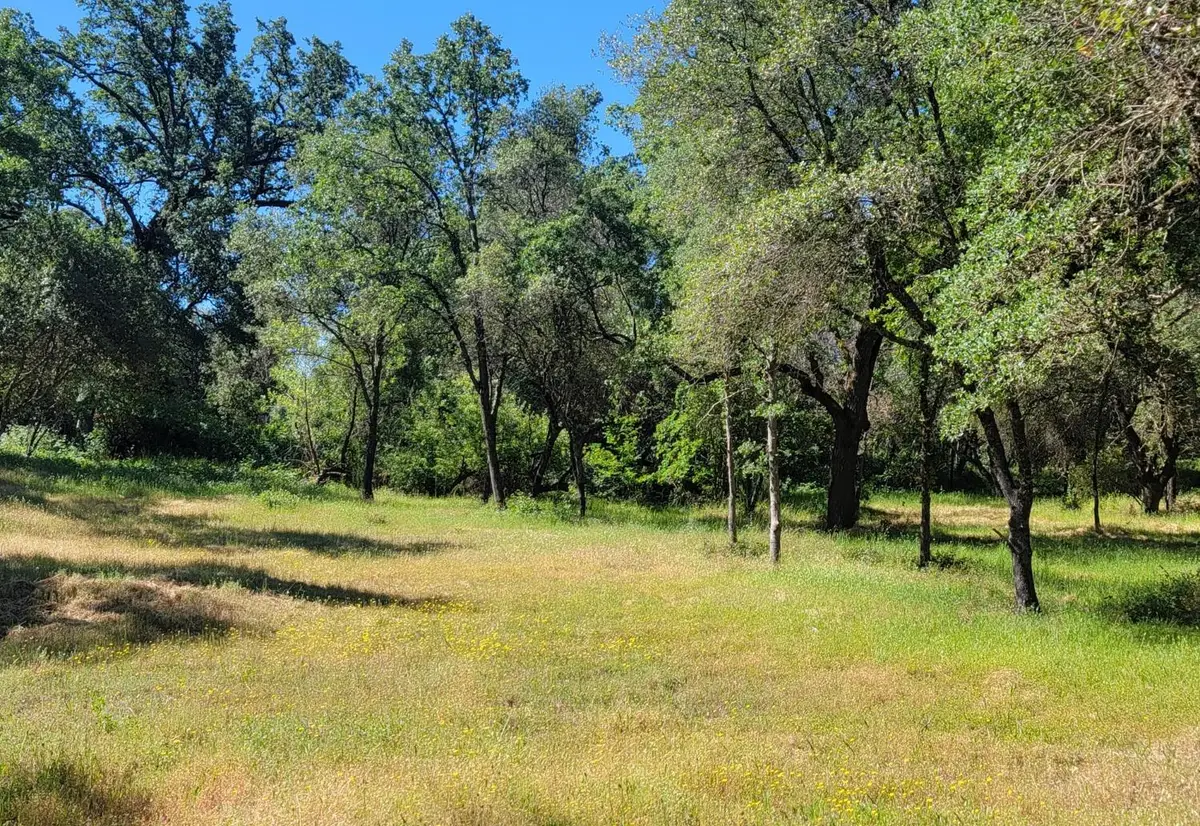 3 Angel Lane, Placerville, CA 95667 - #1