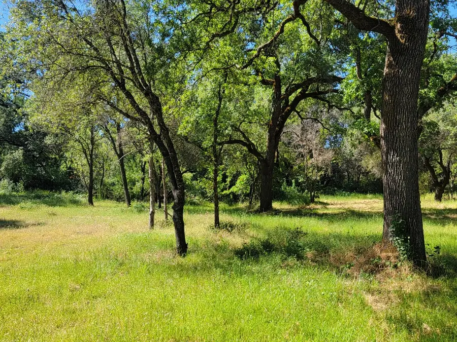 3 Angel Lane, Placerville, CA 95667 - #2