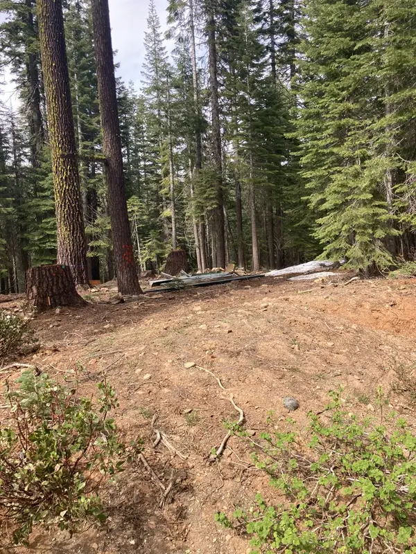 8896 Big Creek Road, Bucks Lake, CA 95971