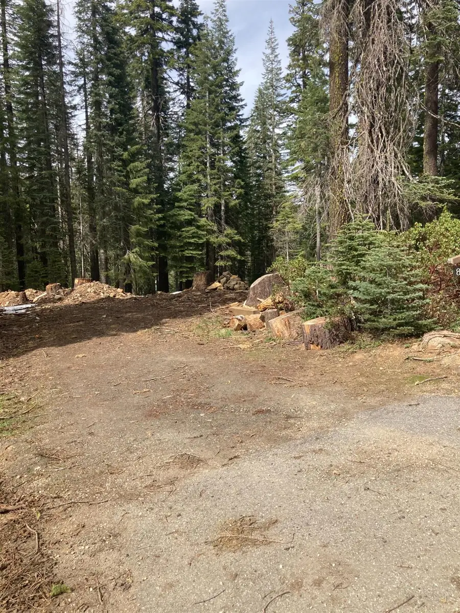 8896 Big Creek Road, Bucks Lake, CA 95971 - #3