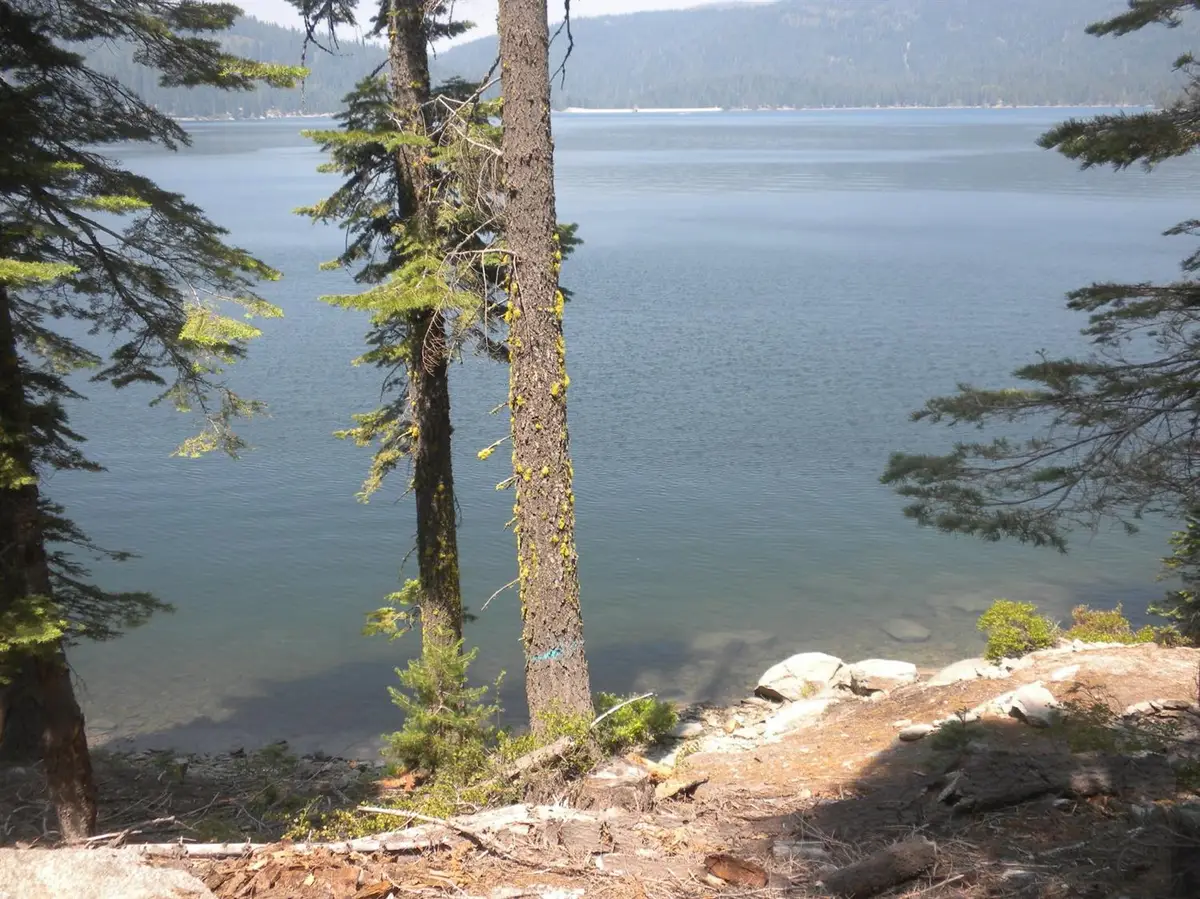 822 Mile High Road, Bucks Lake, CA 95971 - #1