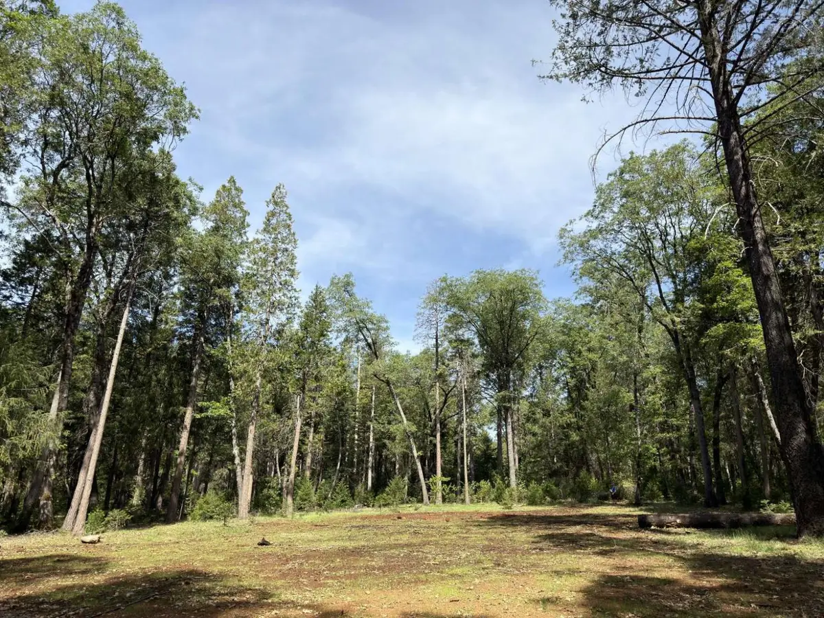 13987 Lee Lane, Nevada City, CA 95959 - #1