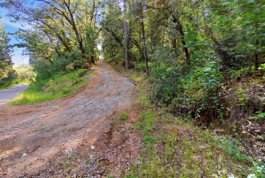 16429 Vierra Road, Rackerby, CA 95972 - #3
