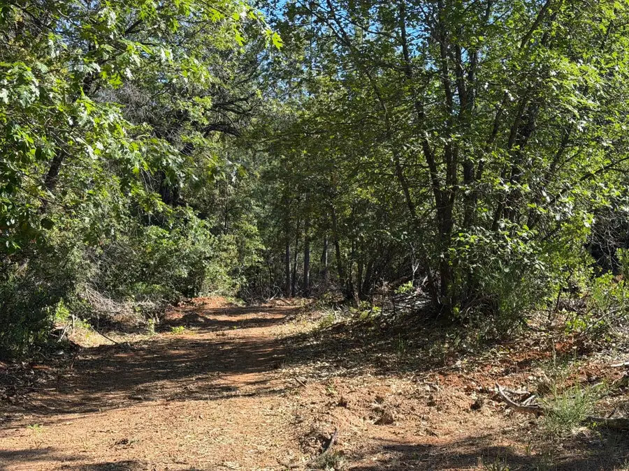 1871 Iowa Hill Road, Colfax, CA 95713 - #2