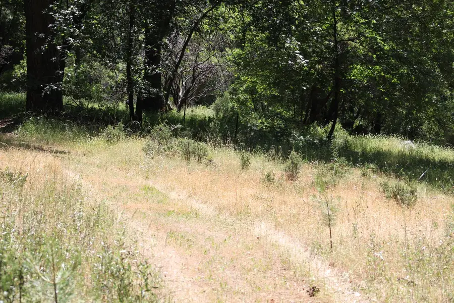 21785 Hwy 26, West Point, CA 95255 - #3