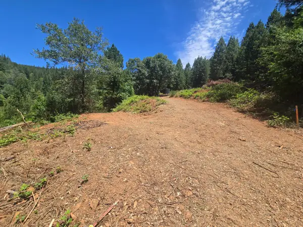 0 Maple Springs Trail, Dobbins, CA 95935