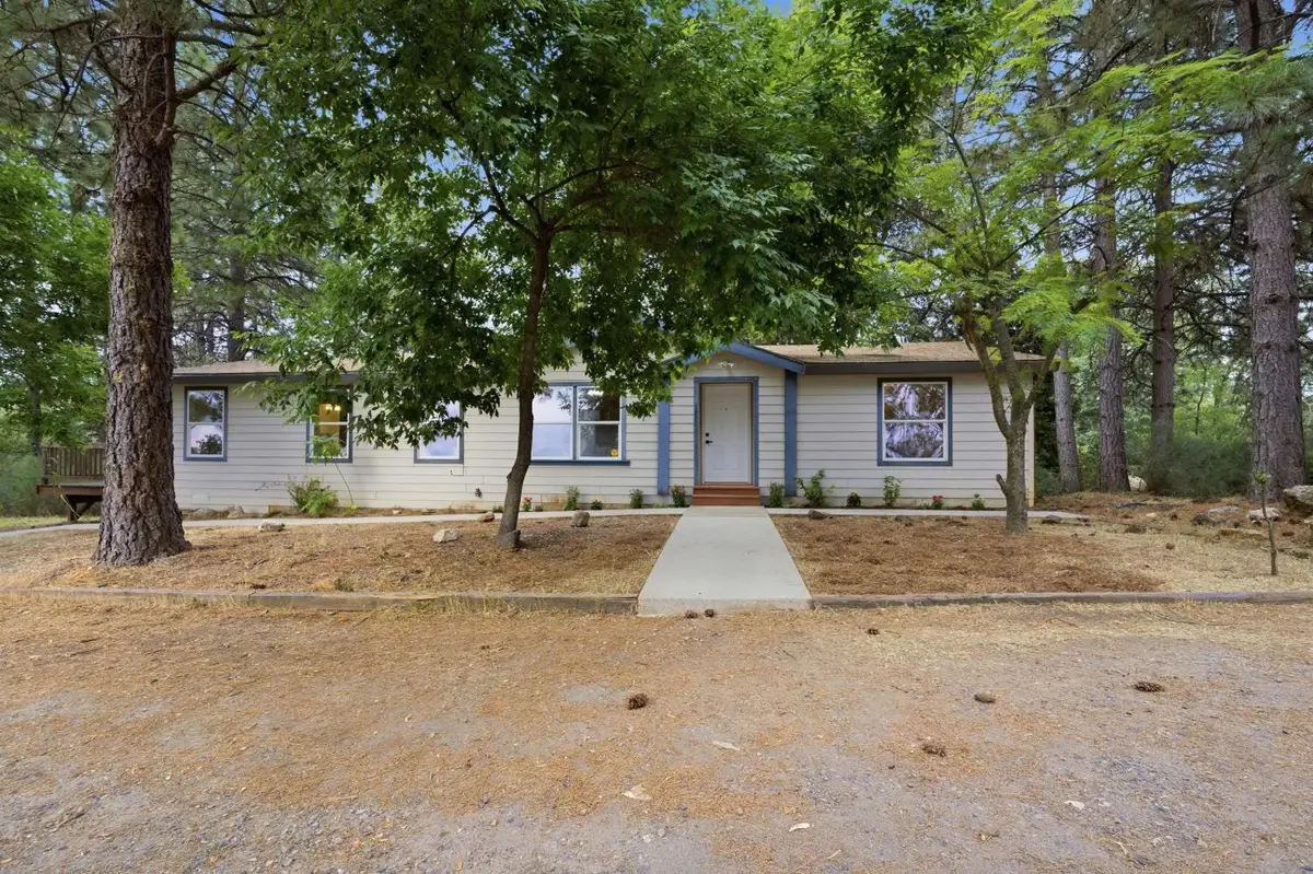 3580 Staghorn Lane, Georgetown, CA 95634 - #1