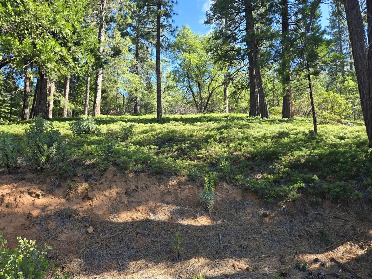 2964 Murphys Drive, Arnold, CA 95223 - #1