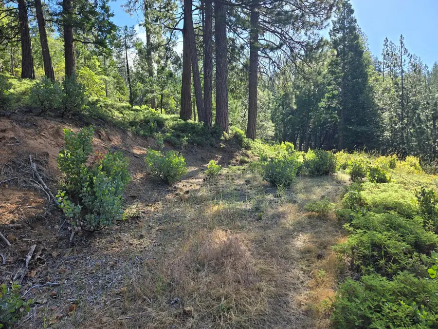 2964 Murphys Drive, Arnold, CA 95223 - #3