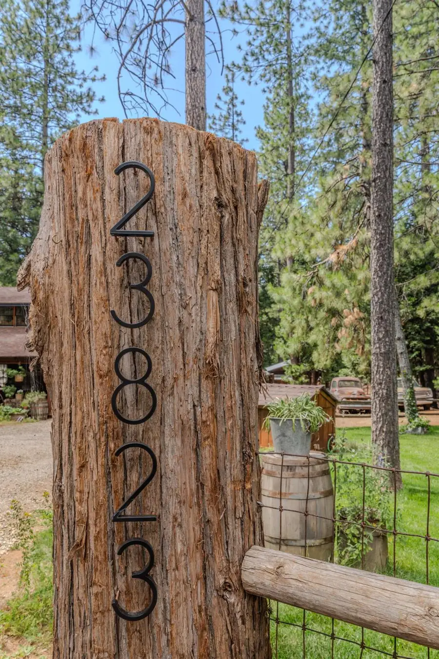 23823 Shake Ridge Rd, Volcano, CA 95689 - #3