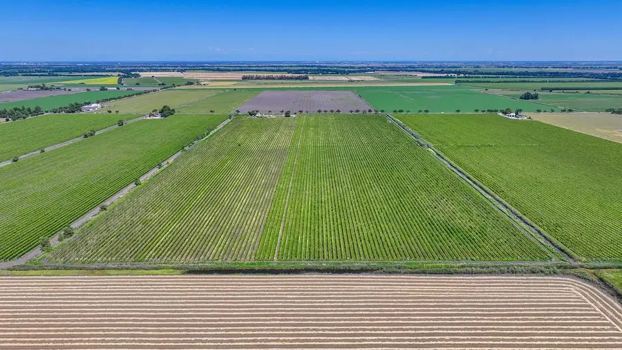 37830 Jefferson Boulevard, Clarksburg, CA 95612 - #2