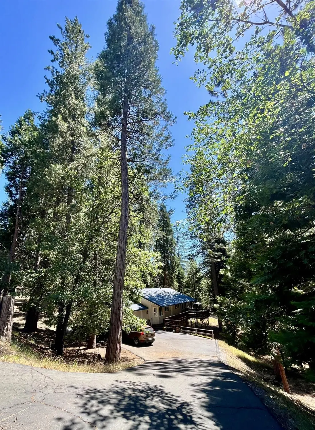 5635 Azalea Circle, Pollock Pines, CA 95726 - #1