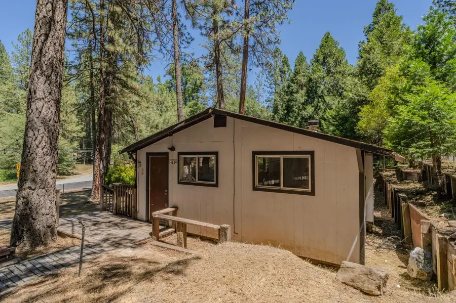 14876 Shenandoah Road, River Pines, CA 95675 - #3