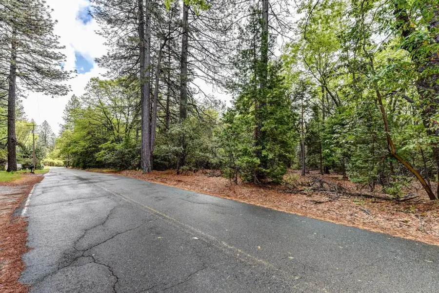 14481 Bobbie Lane, Pioneer, CA 95666 - #3