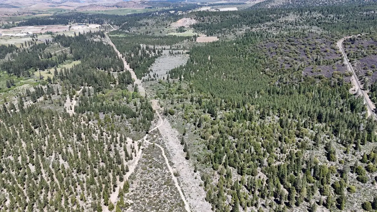 0 0 Black Butte Lookout Drive, Weed, CA 96094 - #1