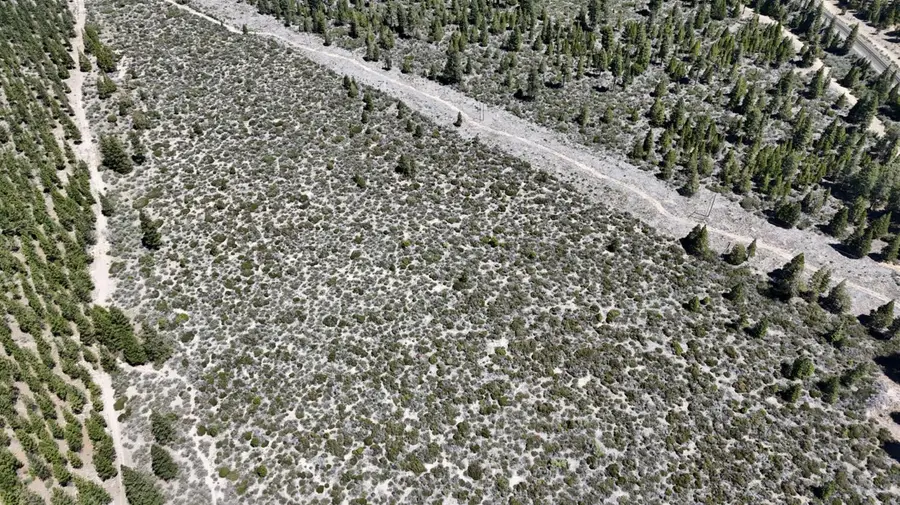 0 0 Black Butte Lookout Drive, Weed, CA 96094 - #2