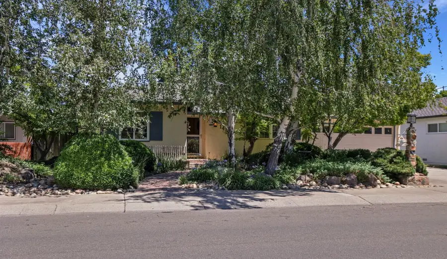 1419 Holly Drive, Lodi, CA 95242 - #3