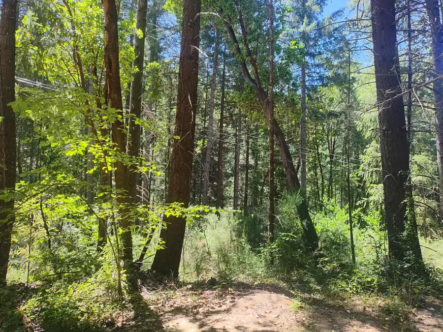 18290 Backwoods Road, Nevada City, CA 95959 - #3