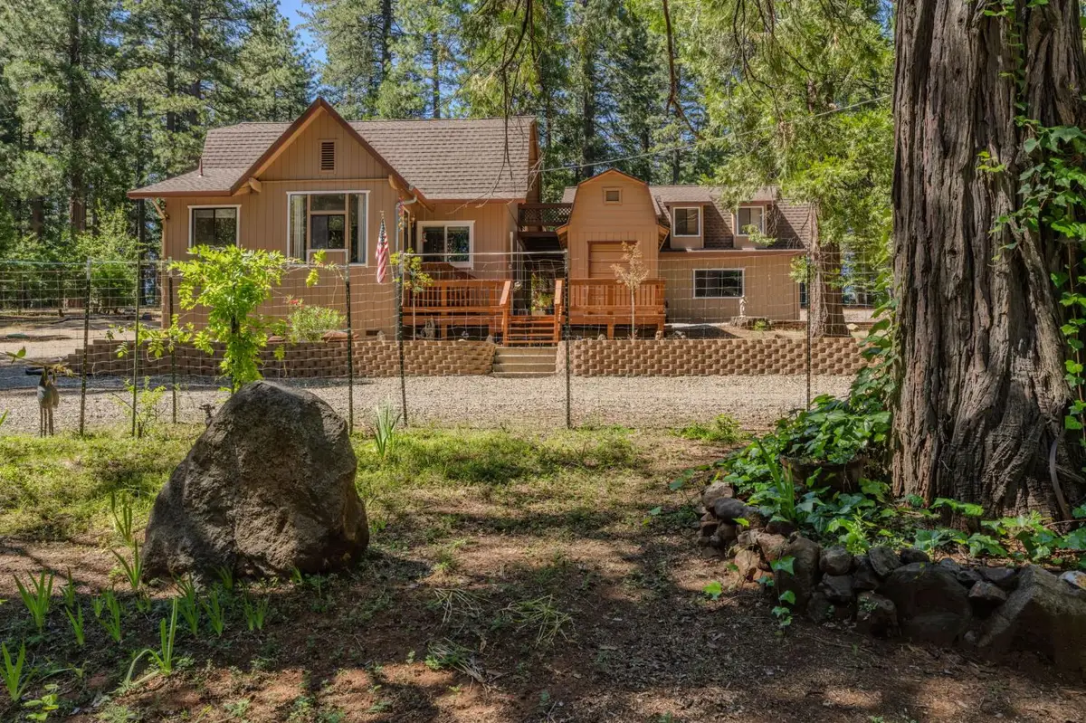 20516 E Pine Drive, Pioneer, CA 95666 - #1