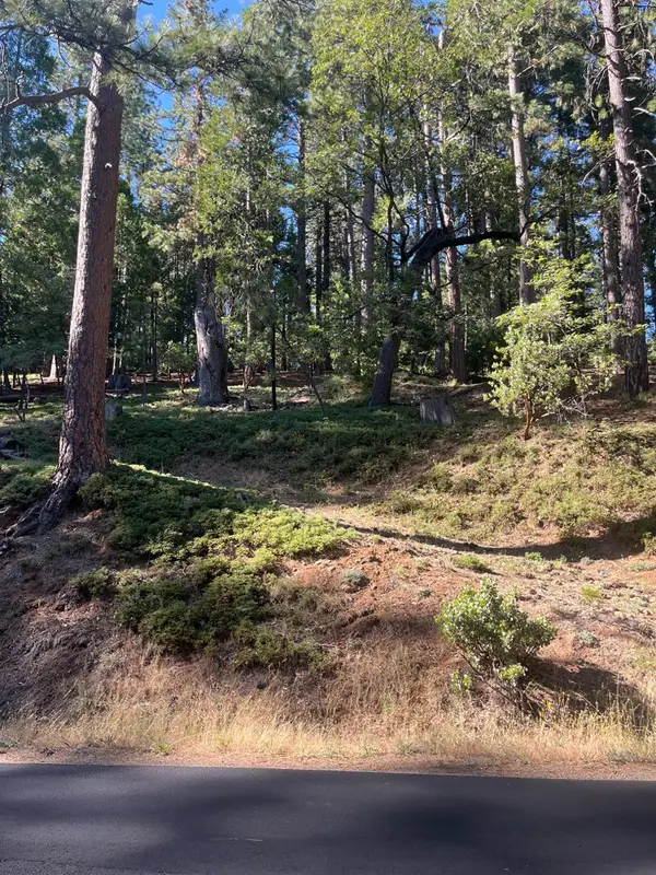 2216 Chaparral Drive, Arnold, CA 95223