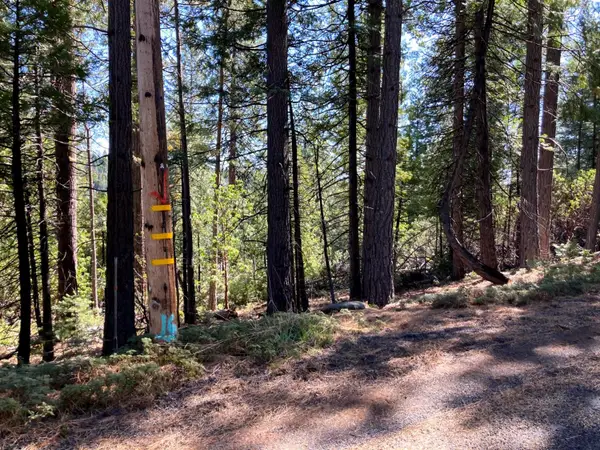 26584 Spring Road, Pioneer, CA 95666