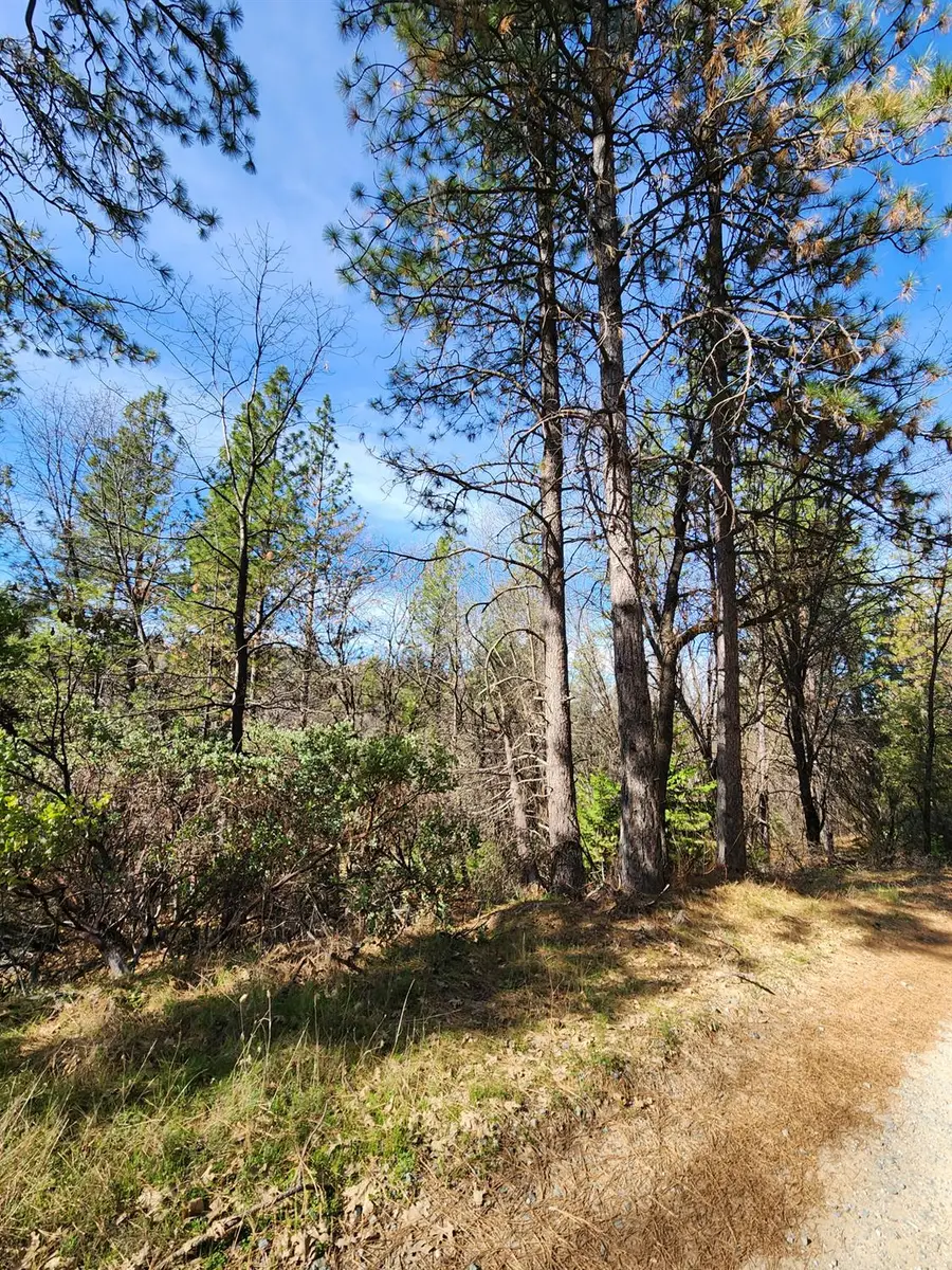 0 Old School House Road, Somerset, CA 95684 - #2
