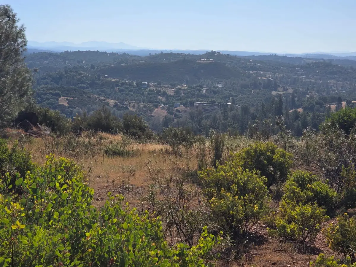10 Hillside Drive, Rescue, CA 95672 - #1