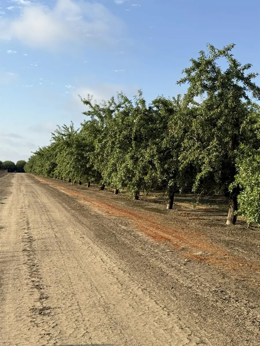 1660 Fruit Avenue, Patterson, CA 95363 - #2