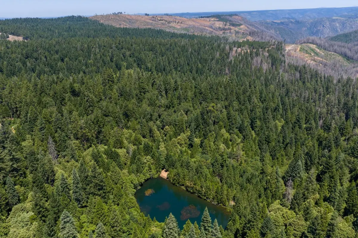 10075 White Fir Road, Georgetown, CA 95634 - #1