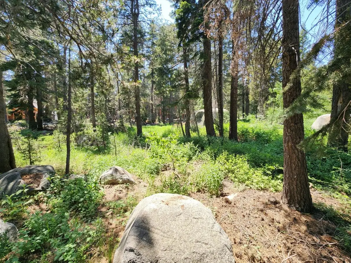 5 Monty Wolf Road, Bear Valley, CA 95223 - #1