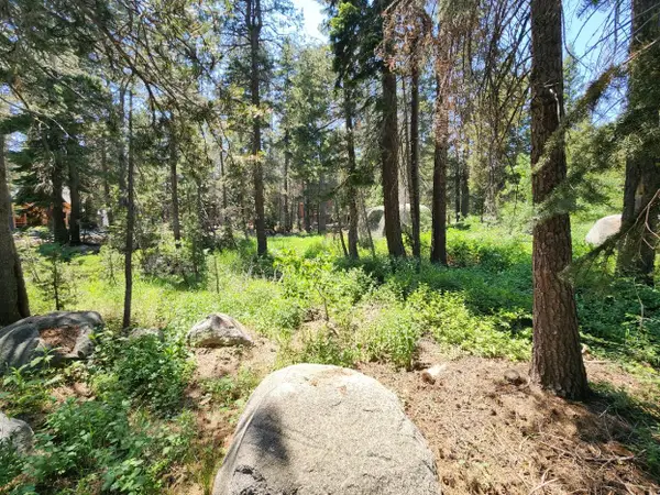 5 Monty Wolf Road, Bear Valley, CA 95223