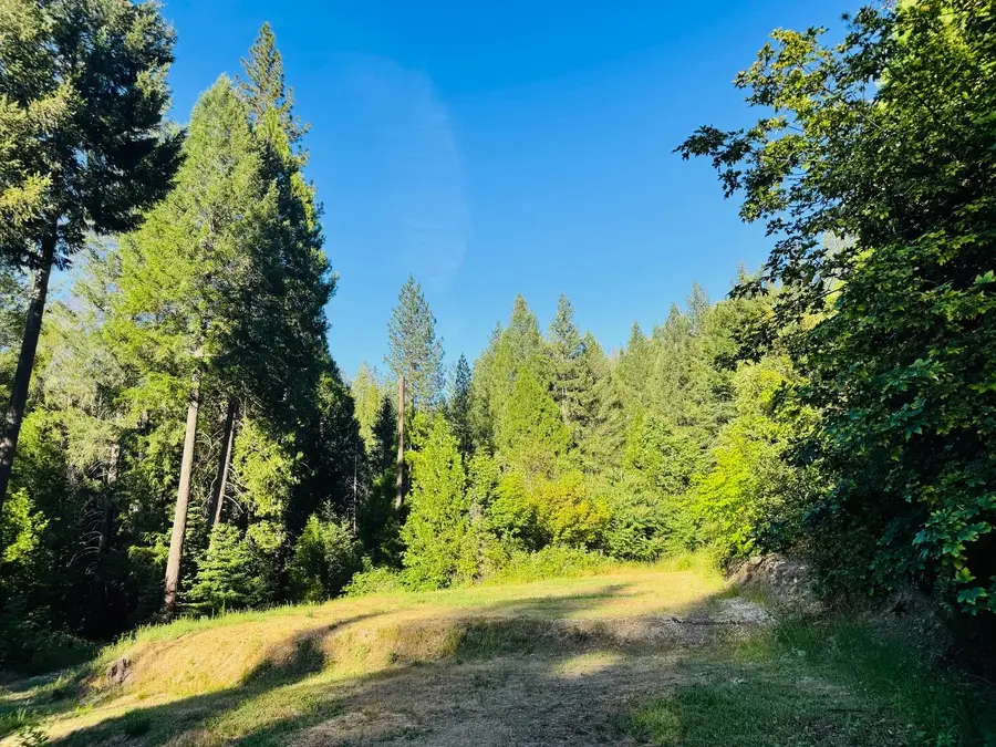 12846 Alpha Loop, Washington, CA 95986 - #3