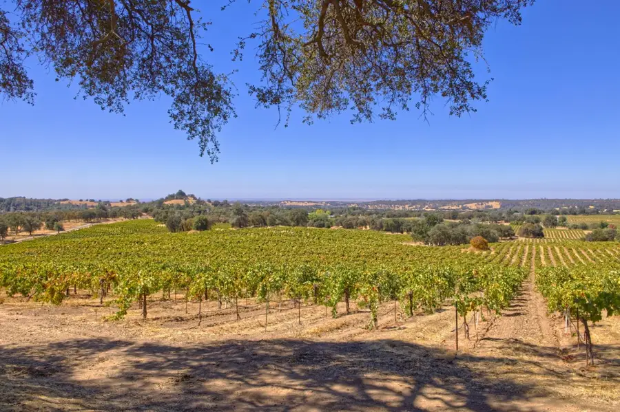 0 Shenandoah School Road, Plymouth, CA 95669 - #2