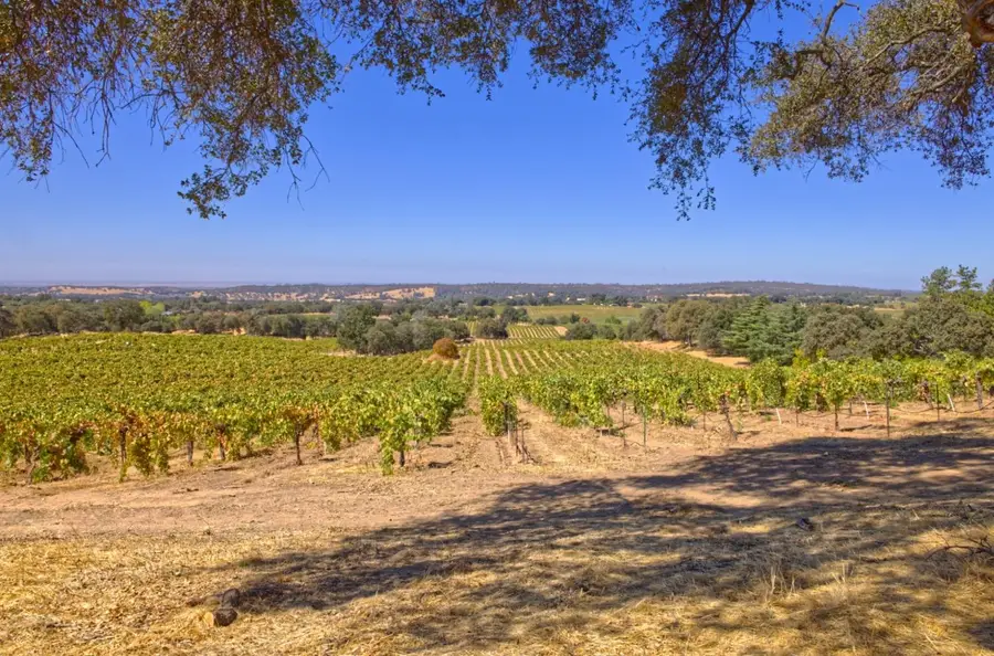 0 Shenandoah School Road, Plymouth, CA 95669 - #3