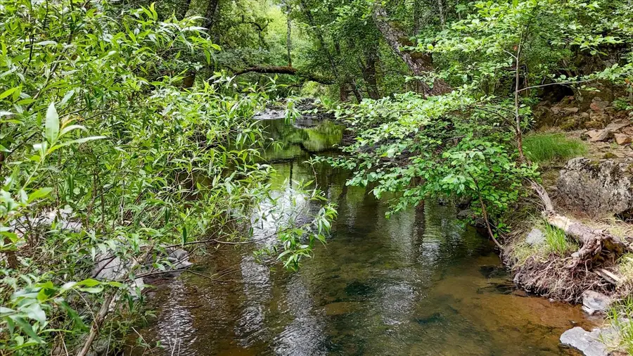 17422 Scopar Road, Grass Valley, CA 95949 - #2