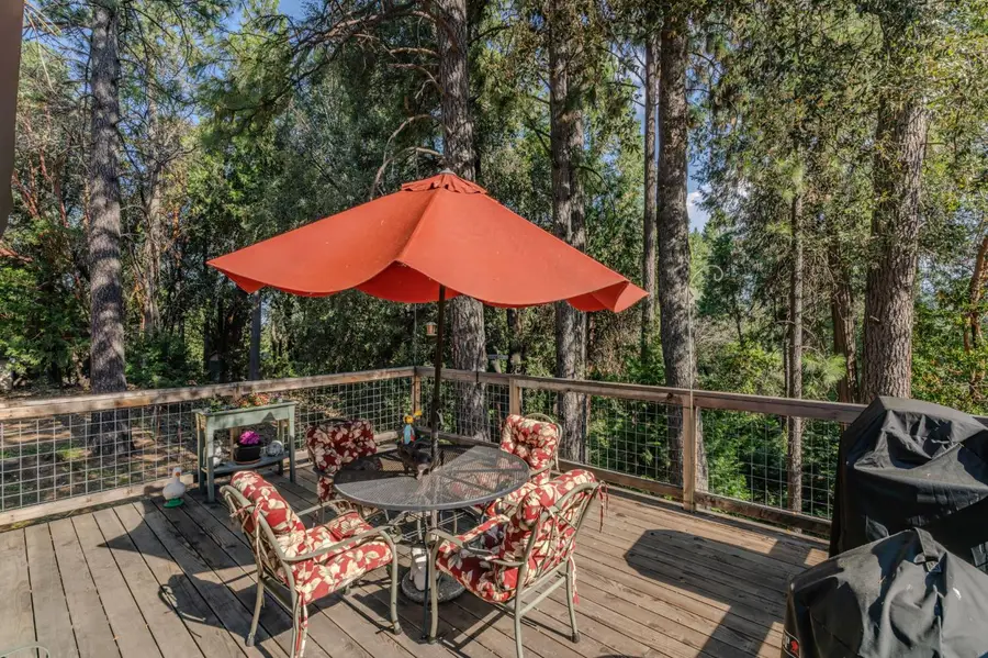 22681 Rocky Lane, Pioneer, CA 95666 - #2