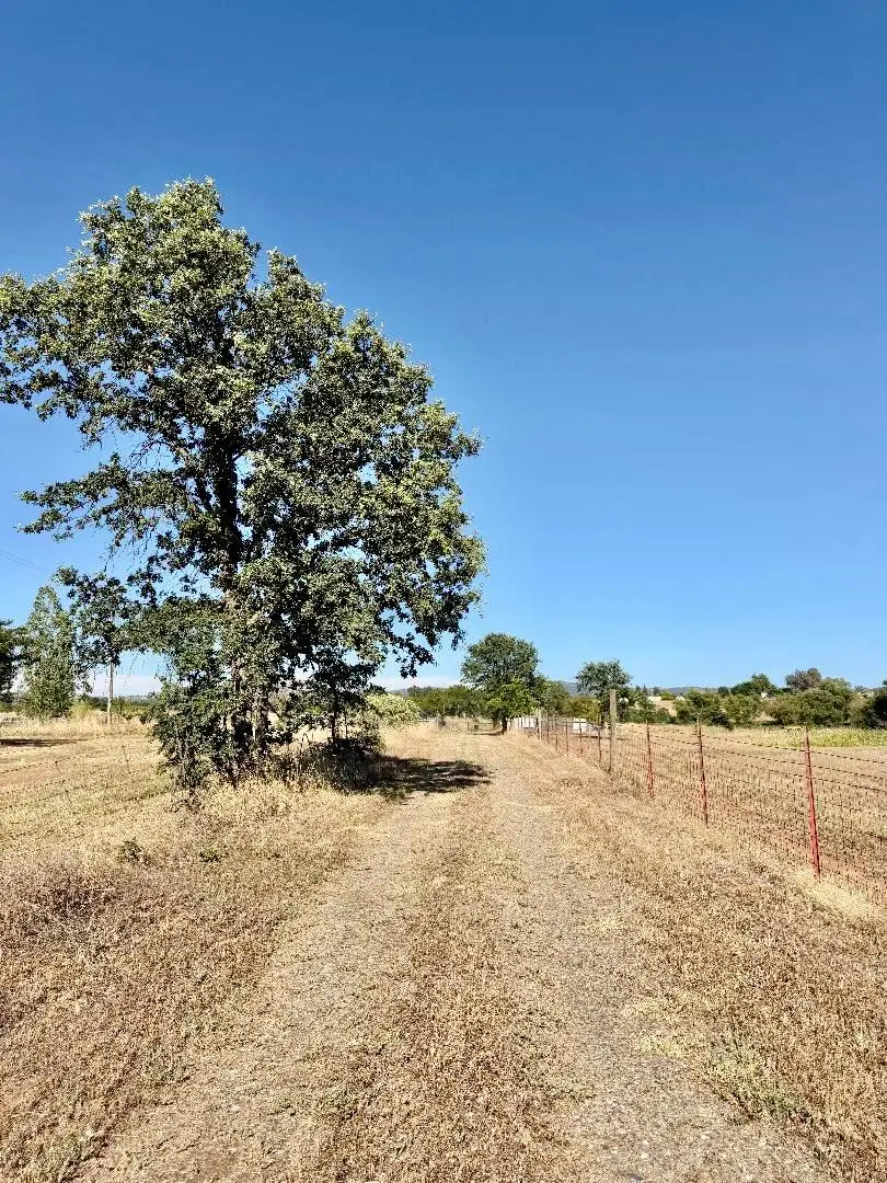 11842 Smith Road, Marysville, CA 95901 - #3