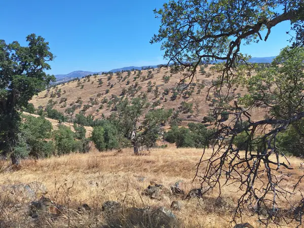 10100 Alamo Drive, La Grange, CA 95329