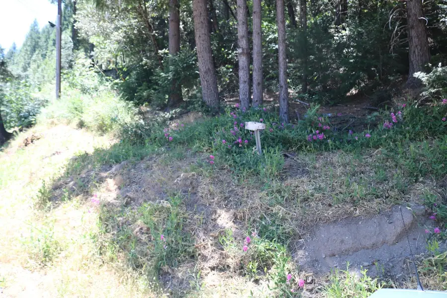 615 Main Street, Downieville, CA 95936 - #2