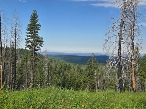 4898 Creekside, Grizzly Flats, CA 95240