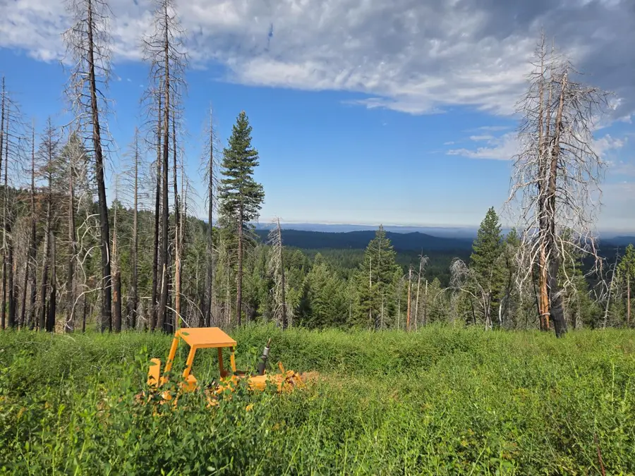 4898 Creekside, Grizzly Flats, CA 95240 - #2